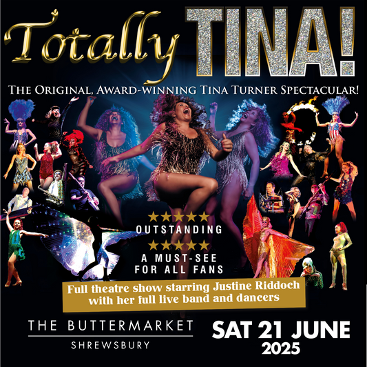 CELEBRATING TINA TURNER with the TOTALLY TINA Theatre Show